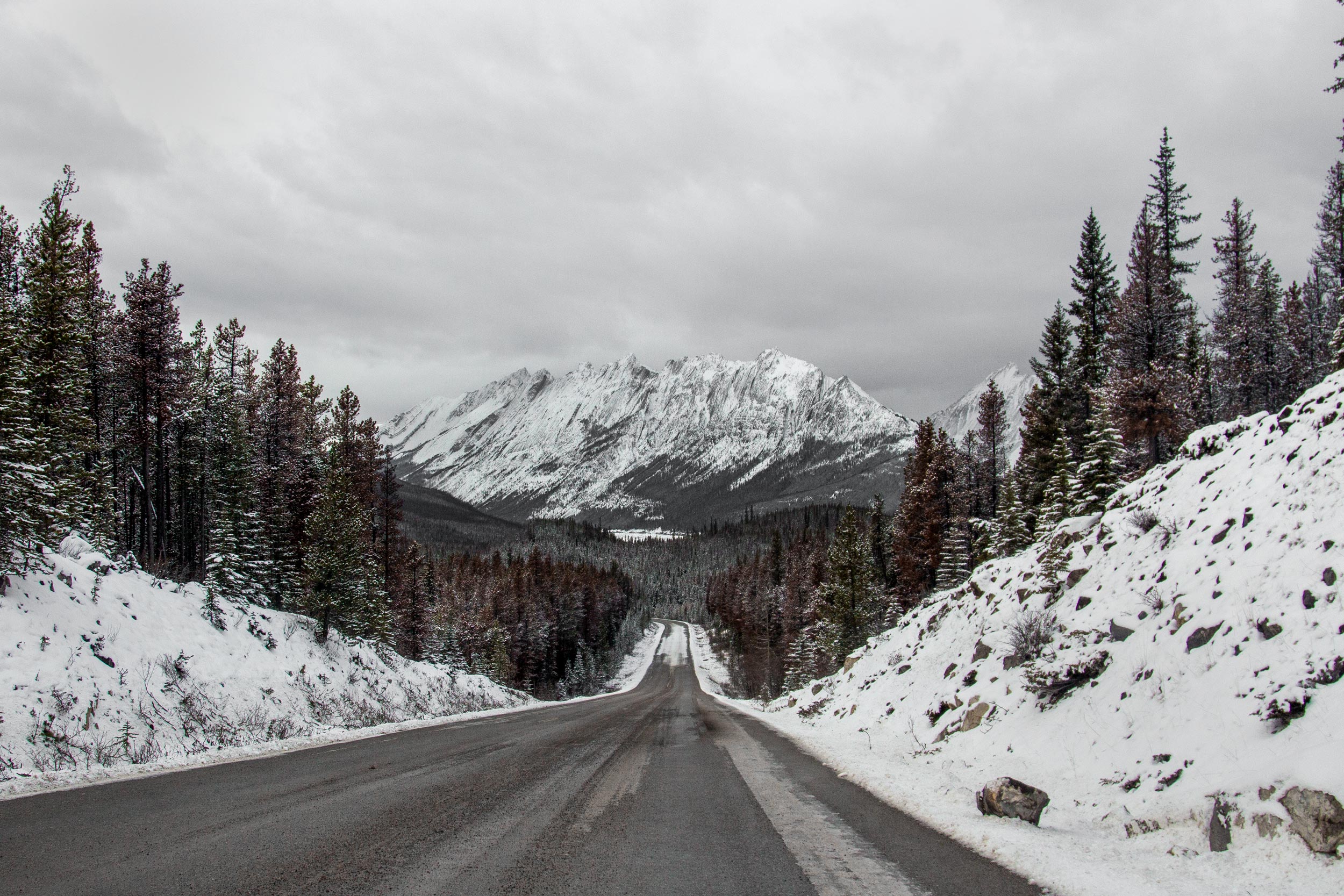 Endlose Straße im Norden Kanadas.