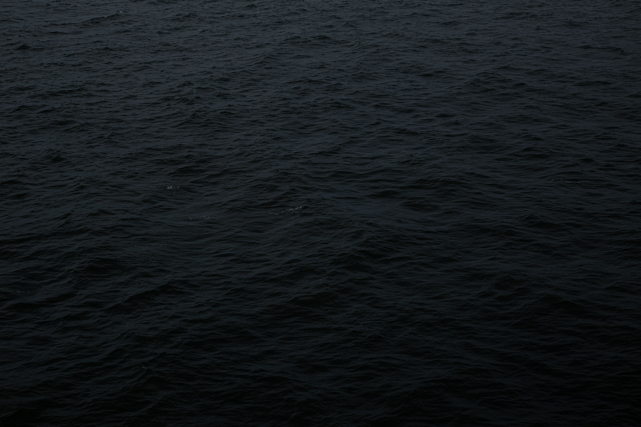 vancouver-island-alinewyrwich-image-03