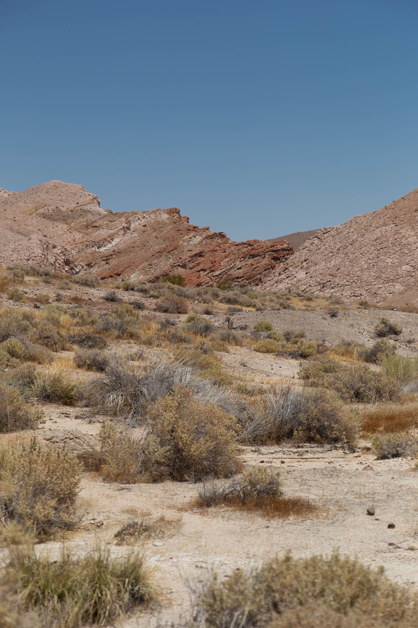Rote Felsen in Wüstenlandschaft