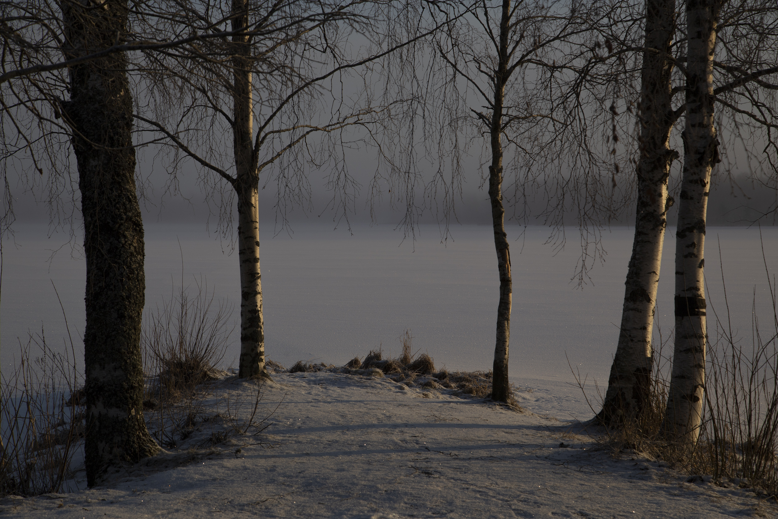 Light of the North
