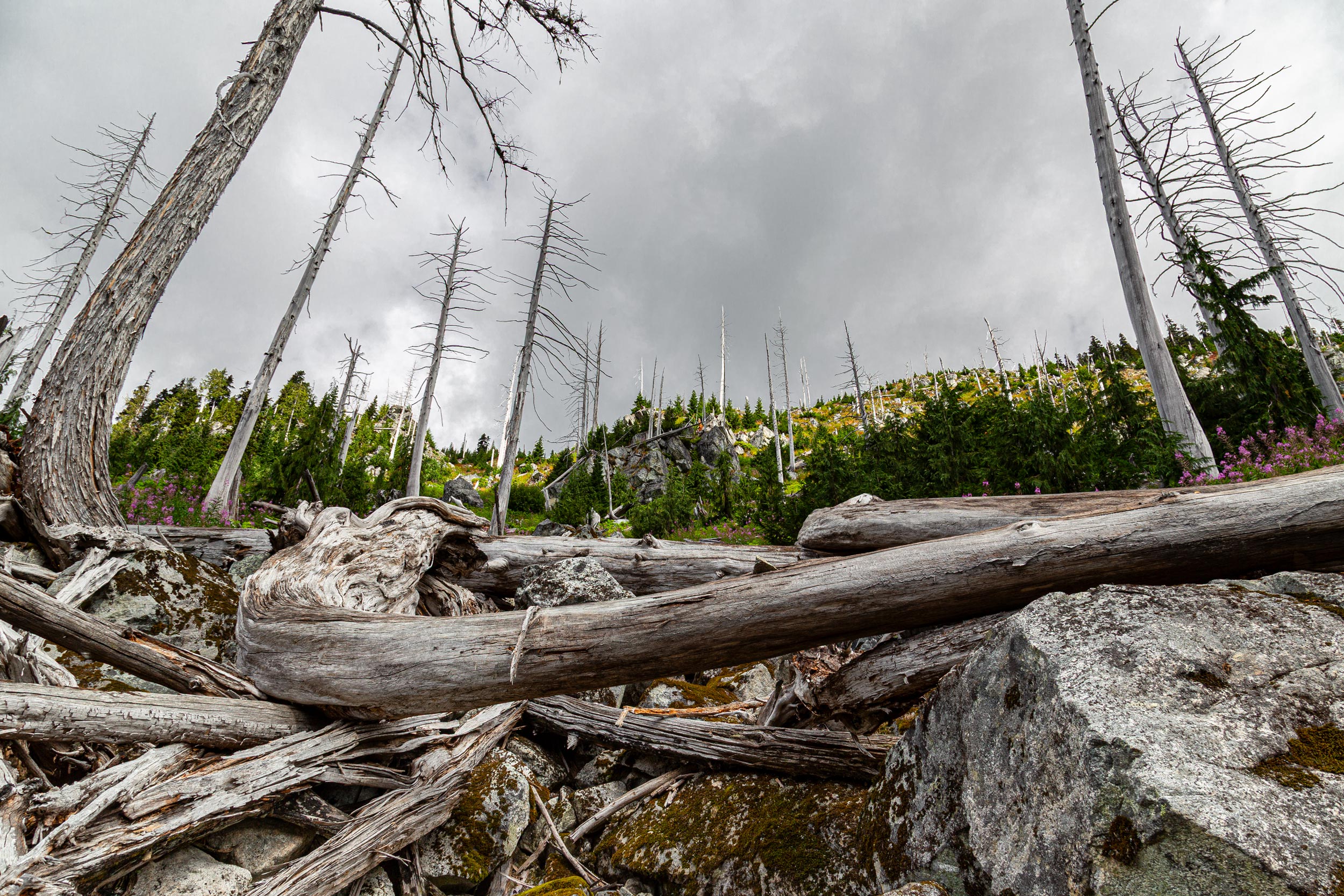 aline-wyrwich-panorama.image-010